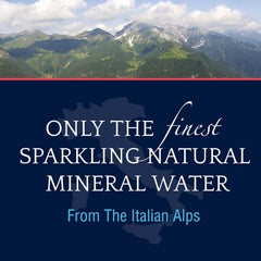 SAN PELLEGRINO Sparkling Mineral Water, 25.3 FZ