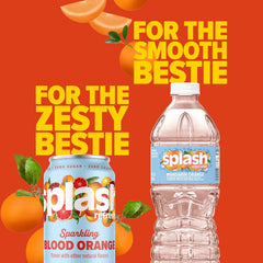 Splash Blast Water, Wild Berry, 16.9 Fl Oz | 30 Pack | Plastic Bottle