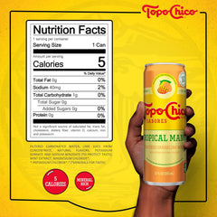 Topo Chico Sabores Raspberry with Lemon 12oz 8pk