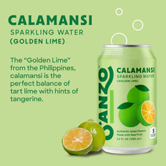 Sanzo Flavored Sparkling Water Variety Pack - Yuzu Lemon, Calamansi Lime, Pomelo Grapefruit, Mango, Lychee, Mandarin Orange - Asian Drinks Carbonated Flavored Water, Fizzy Seltzer - 12oz, 12 Pack