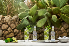 Fever-Tree Sparkling Cucumber – Premium Low Calorie Mixer for Cocktails and Mocktails, 6.8 fl oz Bottles, Pack of 24 – Naturally Sourced, Non-GMO