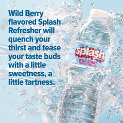 Splash Blast Water, Wild Berry, 16.9 Fl Oz | 30 Pack | Plastic Bottle