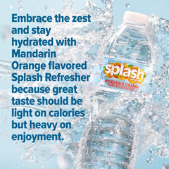 Splash Blast Water, Wild Berry, 16.9 Fl Oz | 30 Pack | Plastic Bottle