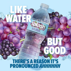 Splash Blast Water, Wild Berry, 16.9 Fl Oz | 30 Pack | Plastic Bottle