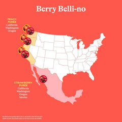 Spindrift Sparkling Water, Berry Belli-no Flavored, Made with Real Squeezed Fruit, 12 Fl Oz Cans, Pack of 24 (Only 13 Calories per Can)